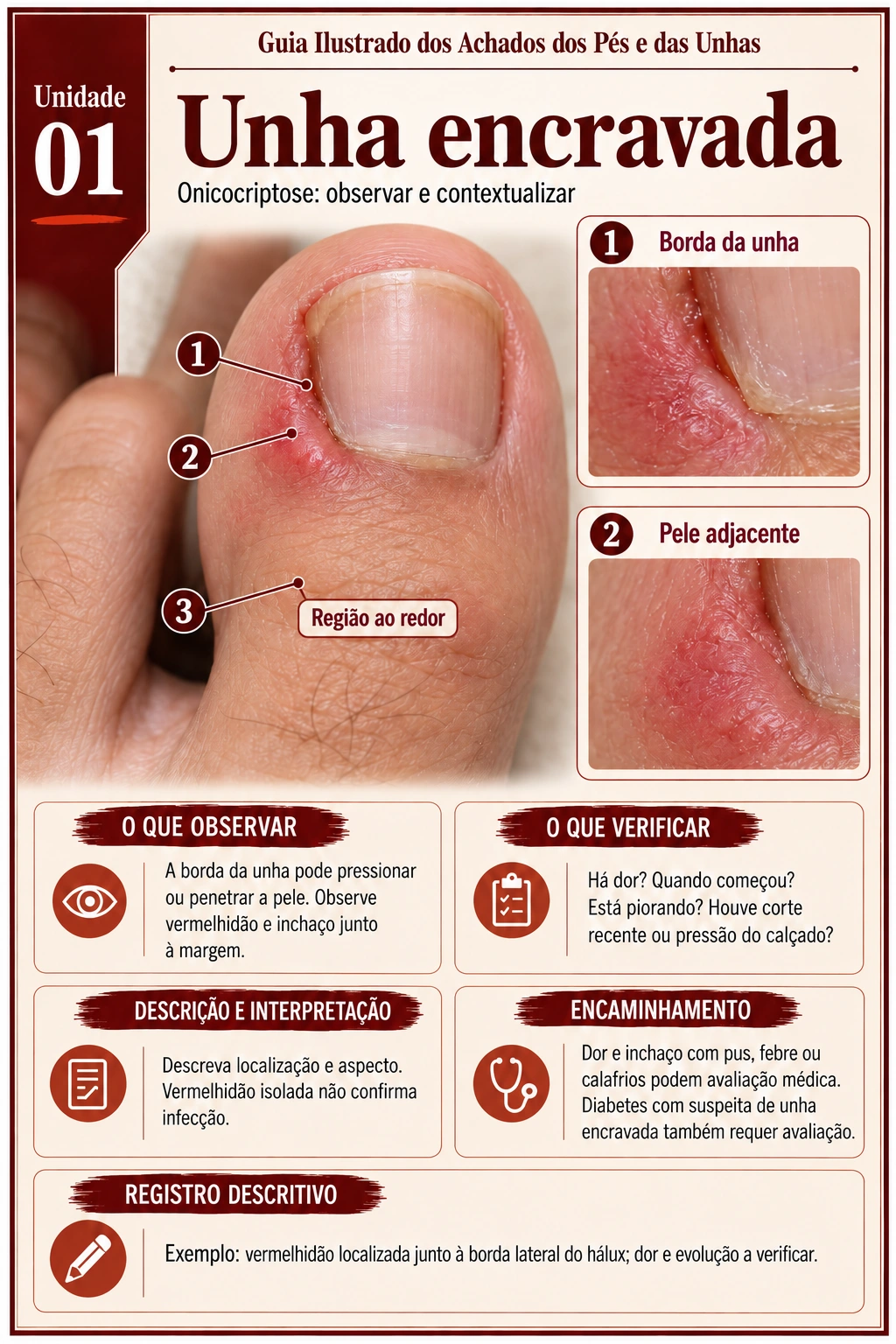 Prévia 1